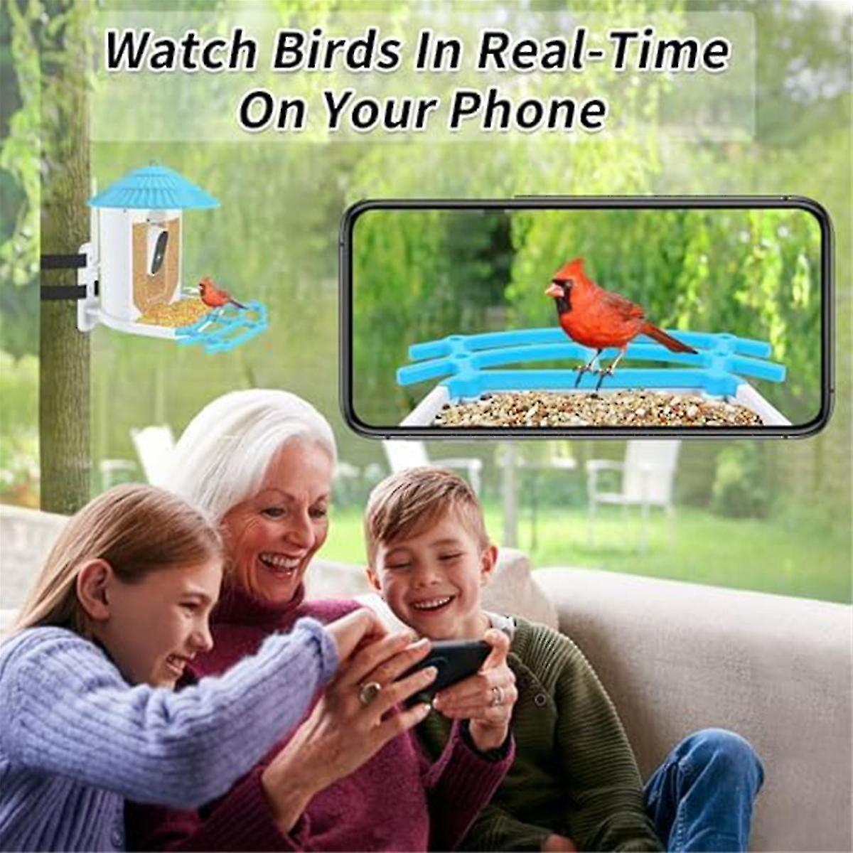 Smart Bird Feeder with 4MP Camera and AI Bird Identification