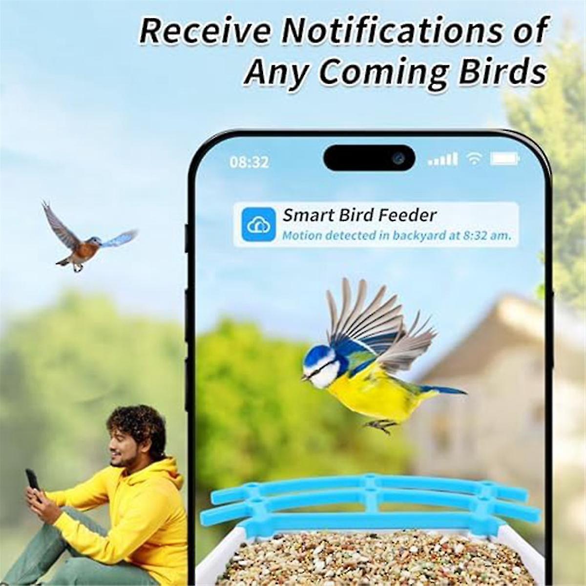 Smart Bird Feeder with 4MP Camera and AI Bird Identification