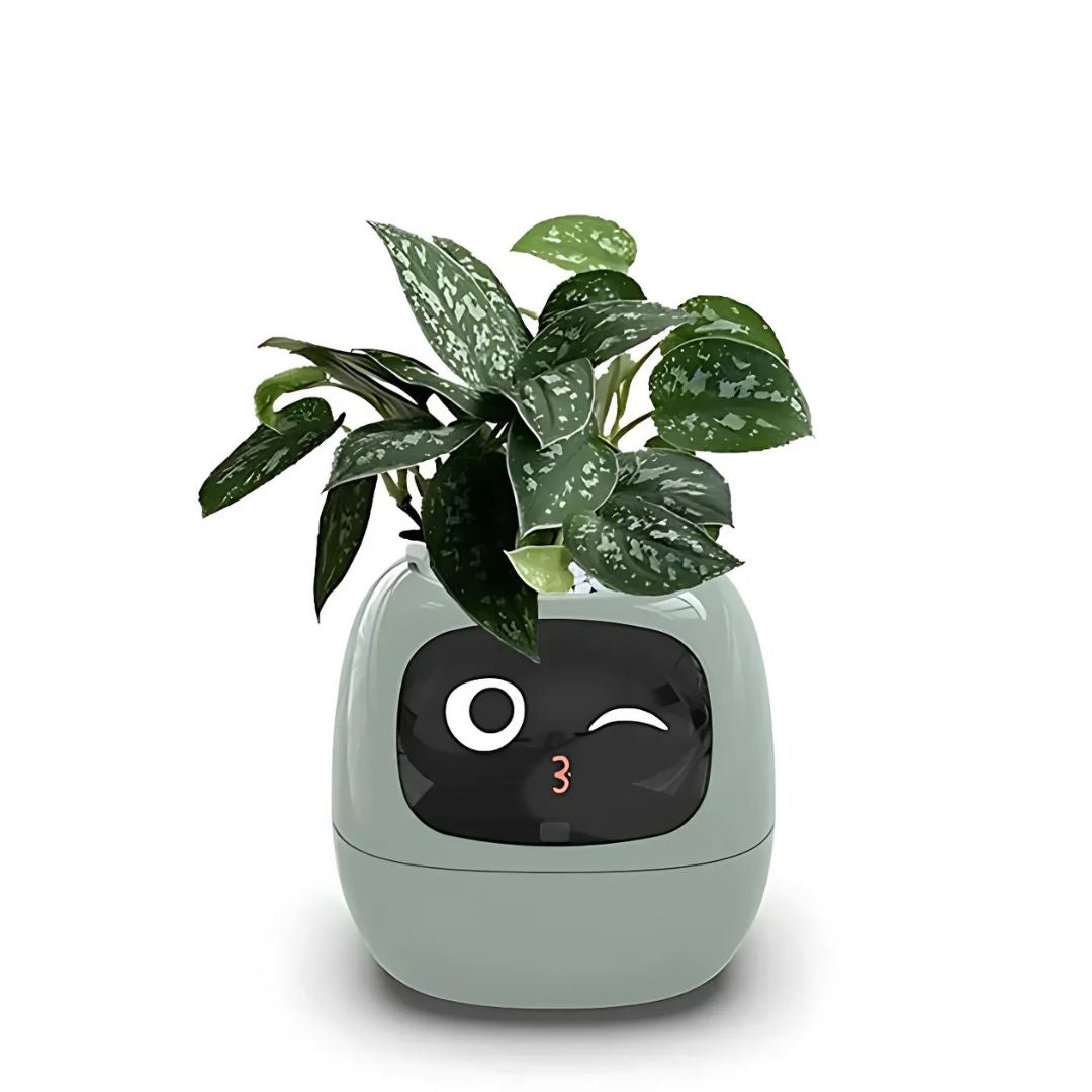 AI Smart Plant Pot | Self-Watering, Interactive with 70+ Expressions & Compatible with Smart Home Systems for Indoor & Outdoor Use