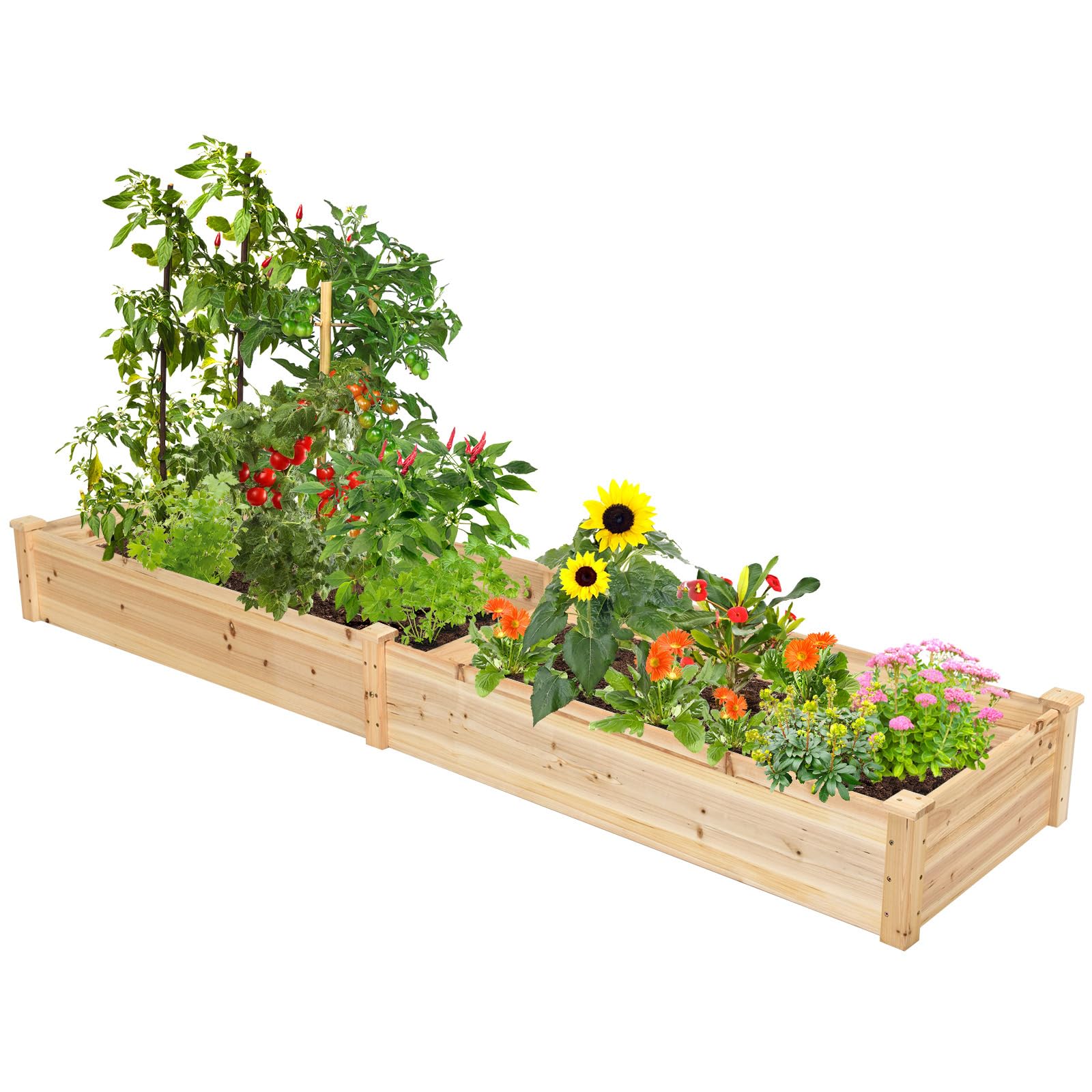 Natural Raised Garden Bed Elevated Planter Box with Open Bottom, 97”L x 25.5”W x 10”H Wooden Growing Bed for Garden Patio Yard