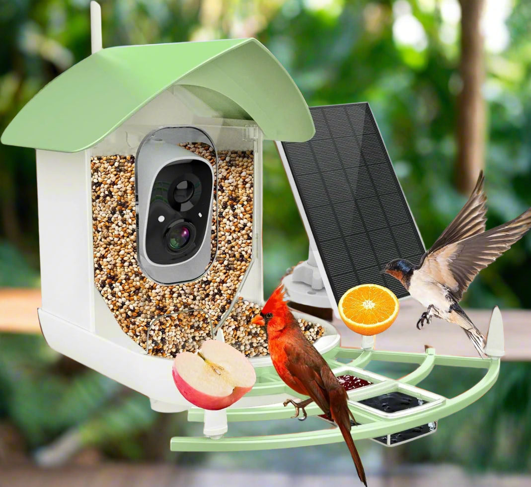 BirdyCam™ | Smart Bird Feeder Camera with AI Recognition & Night Vision for Bird Watching & Wildlife Observation
