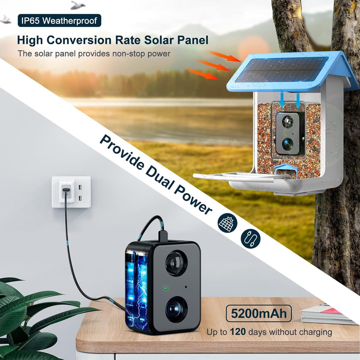 Smart Bird Feeder Camera 1