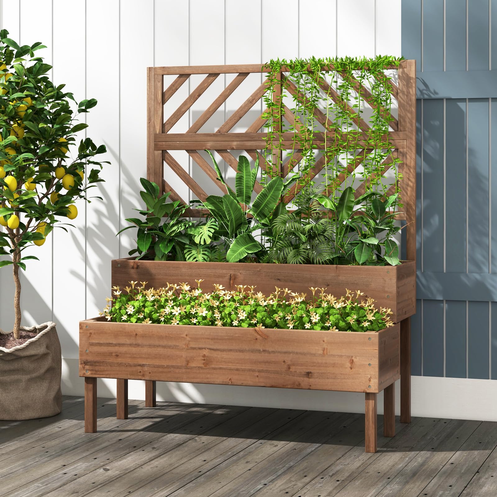 2-Tier Wooden Raised Garden Bed with Trellis, 2 Planter Boxes, Drainage Holes, Outdoor Elevated Planter Box for Flowers Herbs Vegetables Fruits