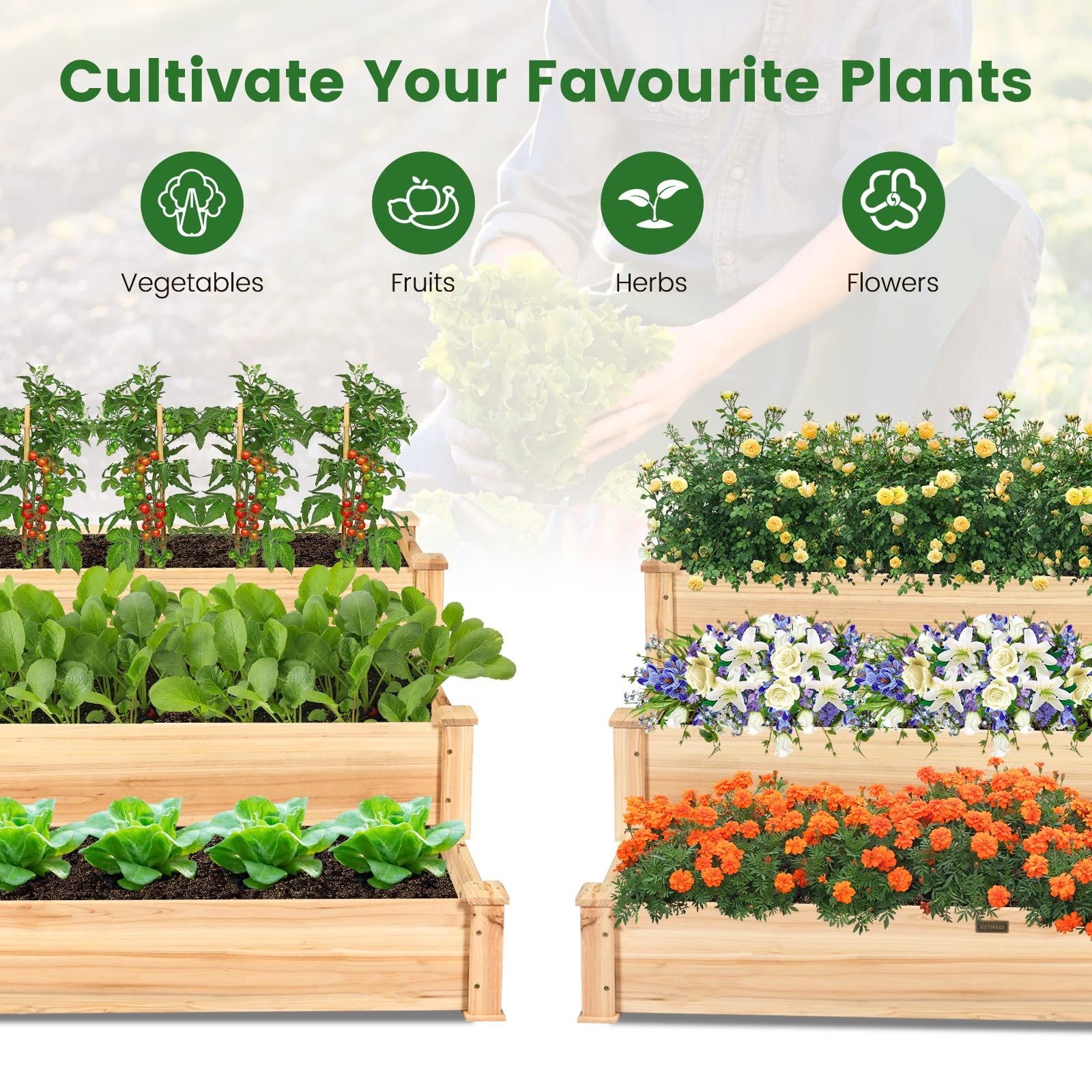 3-Tier Raised Garden Bed, 49" x 49" x 22" Fir Wood Elevated Planter Box for Growing Vegetable/Flower/Herb, Plant Display Container Rack