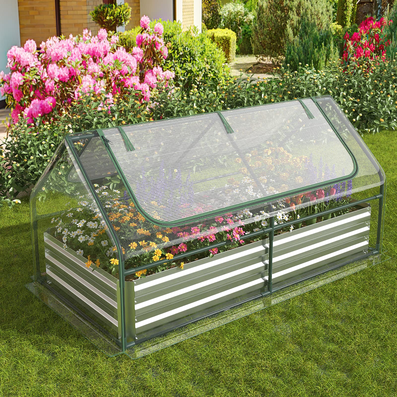 6FT x 3FT x 3FT Galvanized Bottomless Raised Garden Bed with Greenhouse, Dual 2-Tier Roll-Up Windows, Easy Venting & Watering
