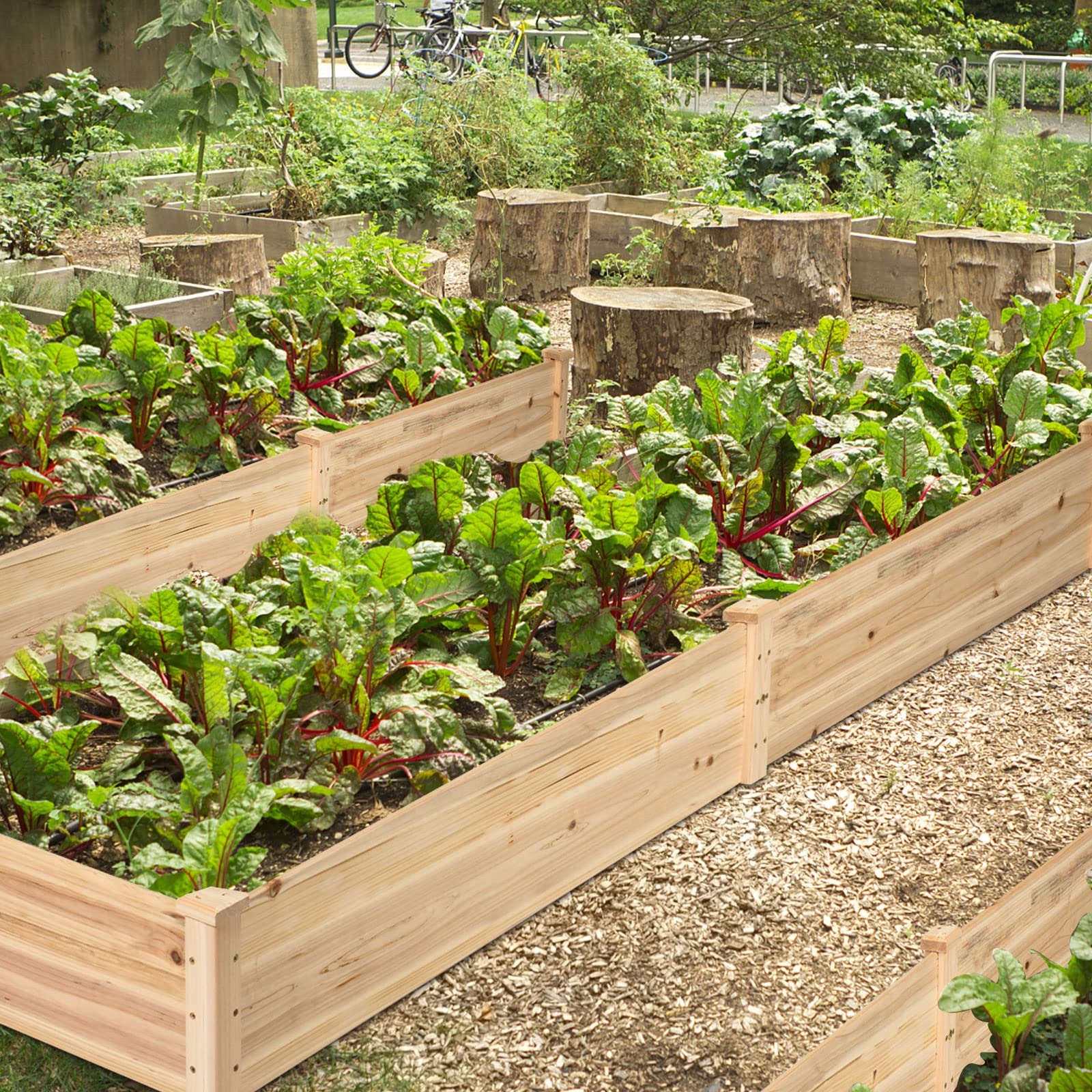 Natural Raised Garden Bed Elevated Planter Box with Open Bottom, 97”L x 25.5”W x 10”H Wooden Growing Bed for Garden Patio Yard