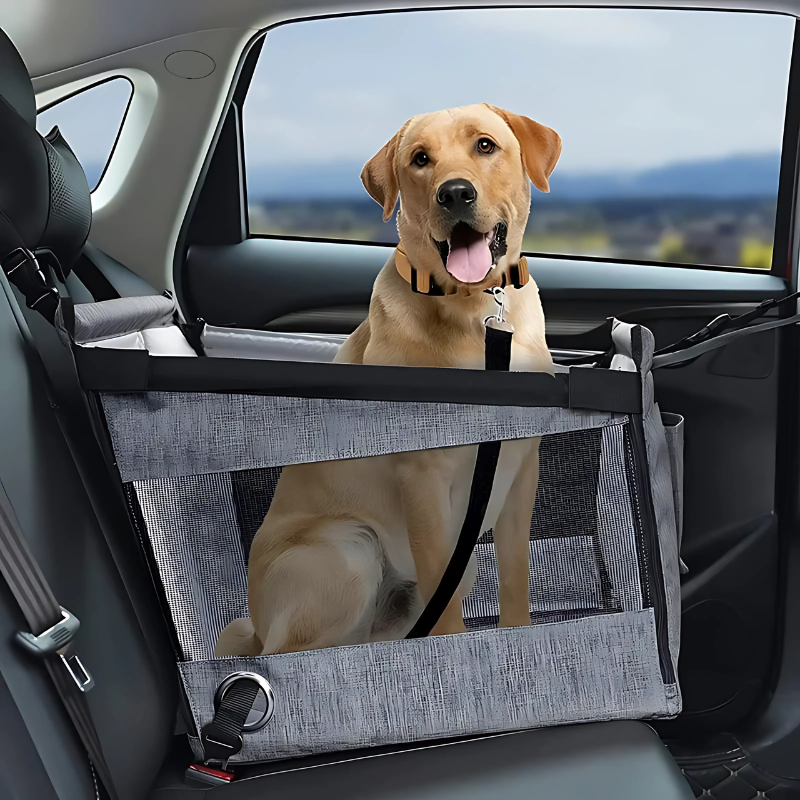 Portable Cats & Dog Seat for Car | Waterproof, Spacious & Secure for Stress-Free Car Rides | Dog Car Booster Seat for Summer Holidays