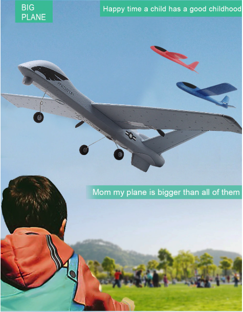 RC Plane | Remote Control Plane Predator Z51