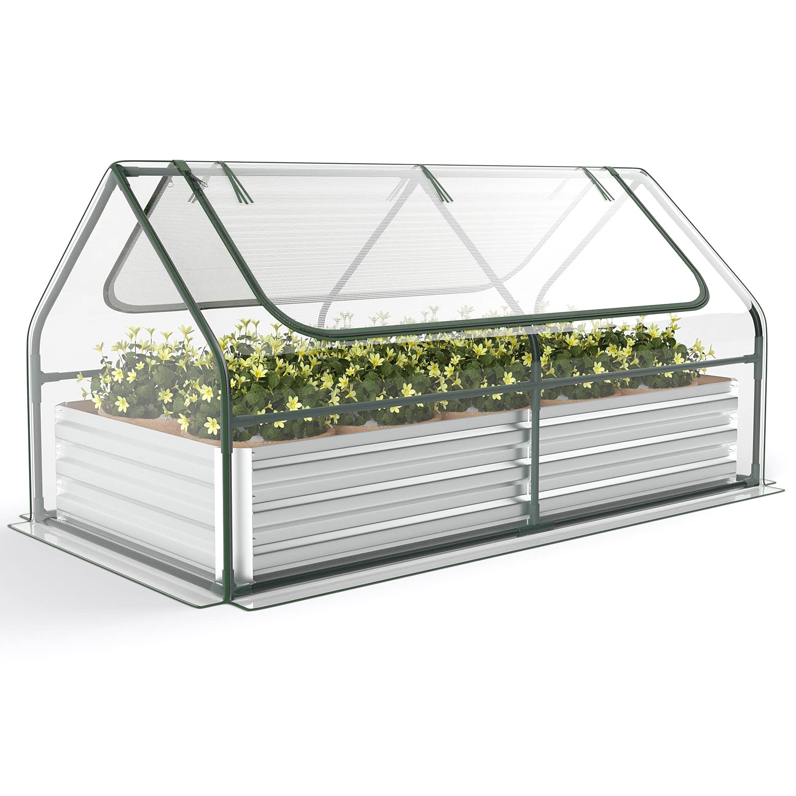 6FT x 3FT x 3FT Galvanized Bottomless Raised Garden Bed with Greenhouse, Dual 2-Tier Roll-Up Windows, Easy Venting & Watering