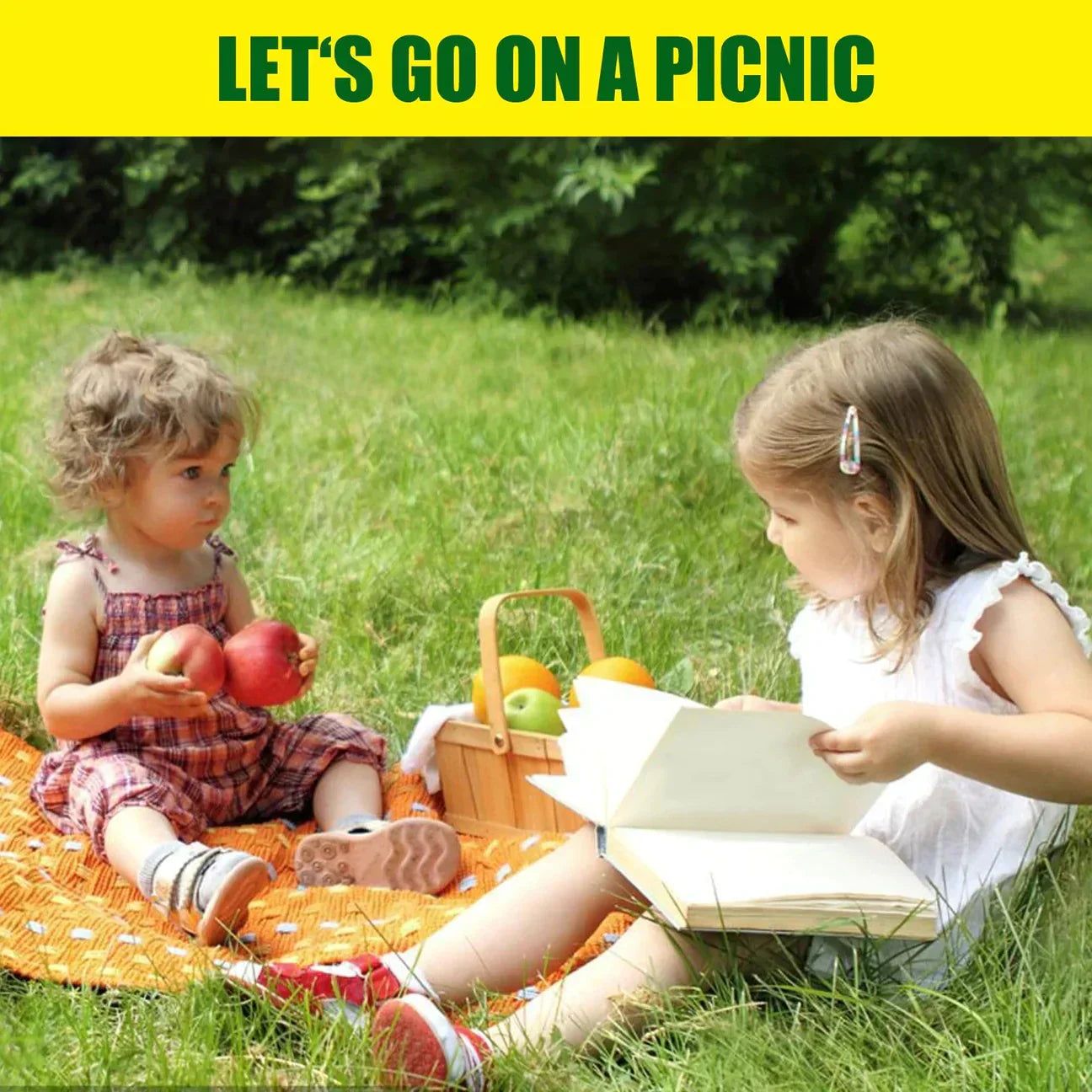 Biodegradable Netted Grass Seed Mat | All-in-One Growth System for Quick Germination in Sun, Shade & Slopes