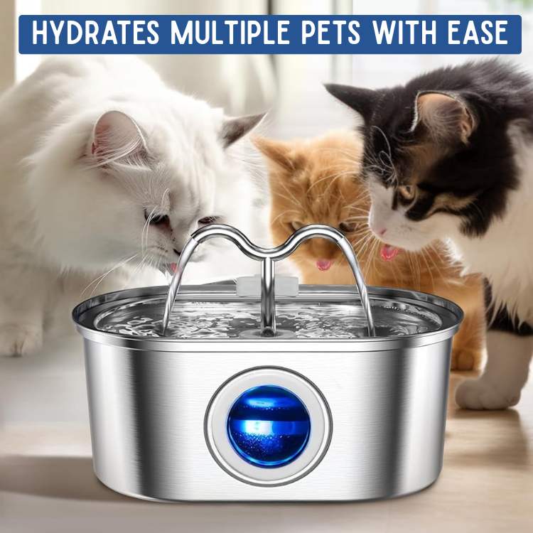 Cat Water Fountain | Silent Operation, Stainless Steel & Hygienic Design for Healthy Hydration