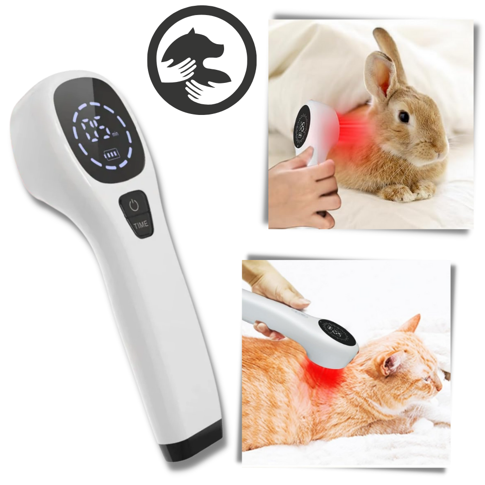 Advanced Laser Therapy for Dogs - Non-Invasive Pain Relief for Joint Pain, Arthritis & Wound Healing