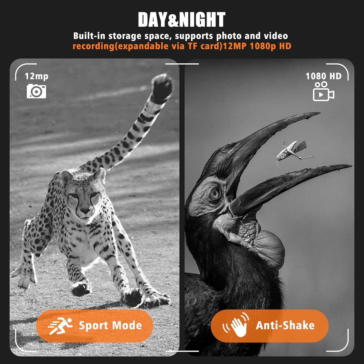 Hawker Night Vision Binoculars