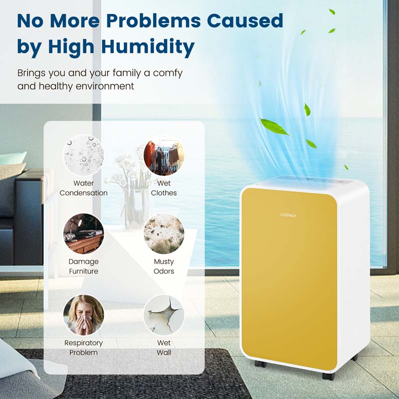 2500 Sq.Ft Dehumidifier for Basement, 32 Pints Portable Dehumidifier with Auto Defrost & Drain Hose, Sleep Mode, 24H Timer for Home Office