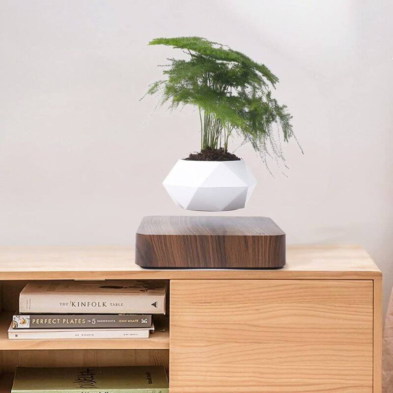 Magnetic Levitating Flower Pot with LED Light - Floating Planter for Home Decor & Unique Gifts