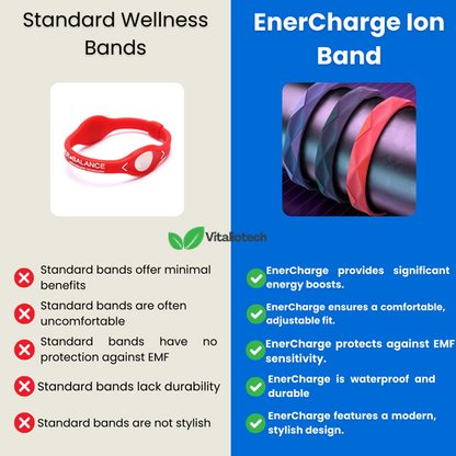 EnerCharge ionenband