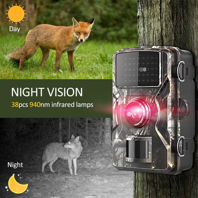 2x Night Vision Outdoor Wildlife Animal Cam Camera
