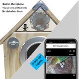 Bird Watching Nesting Feeder Nest Cam Box with Camera