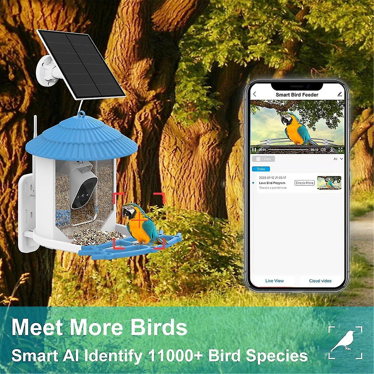 Smart Bird Feeder with 4MP Camera and AI Bird Identification
