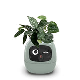 AI Smart Plant Pot | Self-Watering, Interactive with 70+ Expressions & Compatible with Smart Home Systems for Indoor & Outdoor Use