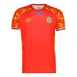 2026 DR Congo Third Jersey