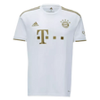 22/23 Bayern Munich Away Jersey