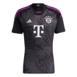 23/24 Bayern Munich Away Jersey