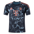 24/25 Bayern Munich Away Jersey