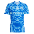 25/26 Tigres Away Jersey