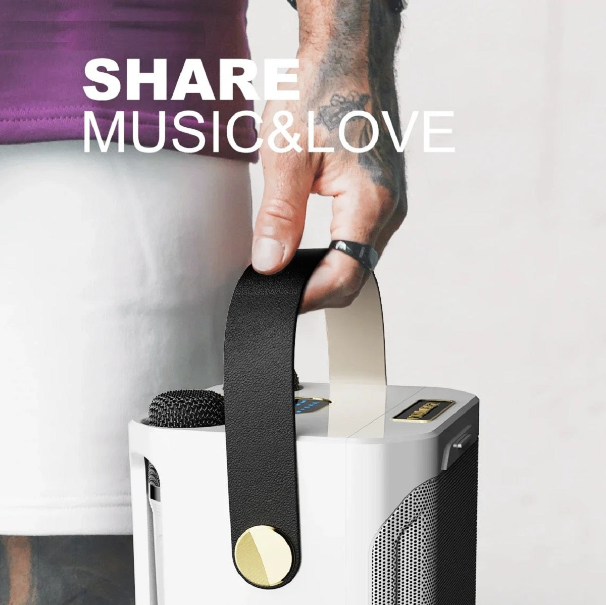 High Power Portable Bluetooth Karaoke Speaker with Rechargeable Battery for Outdoor and Indoor Use