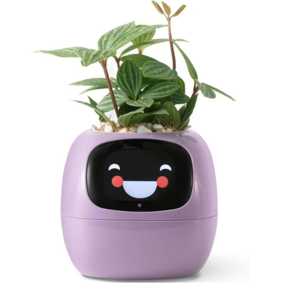 AI Smart Plant Pot | Self-Watering, Interactive with 70+ Expressions & Compatible with Smart Home Systems for Indoor & Outdoor Use