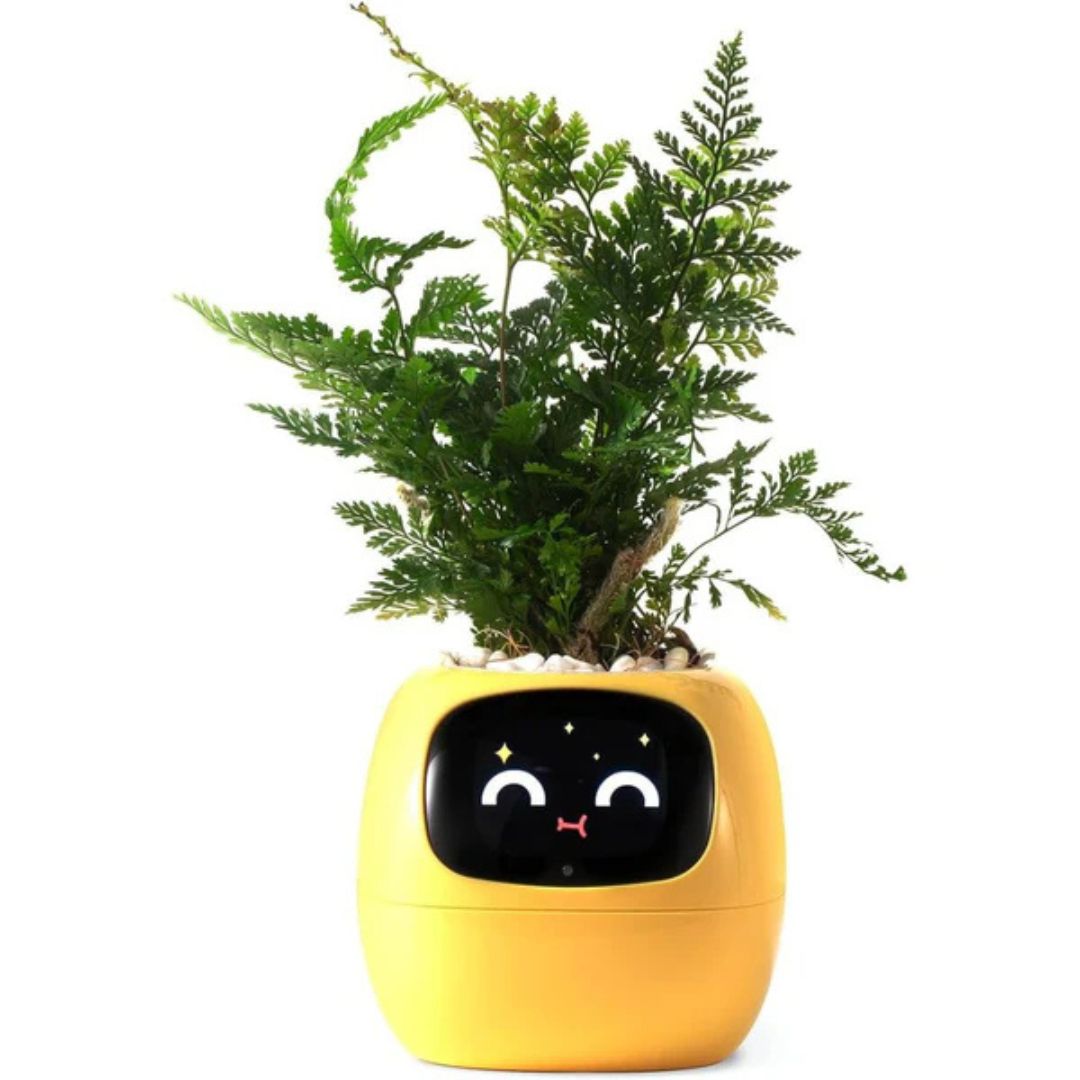 AI Smart Plant Pot | Self-Watering, Interactive with 70+ Expressions & Compatible with Smart Home Systems for Indoor & Outdoor Use