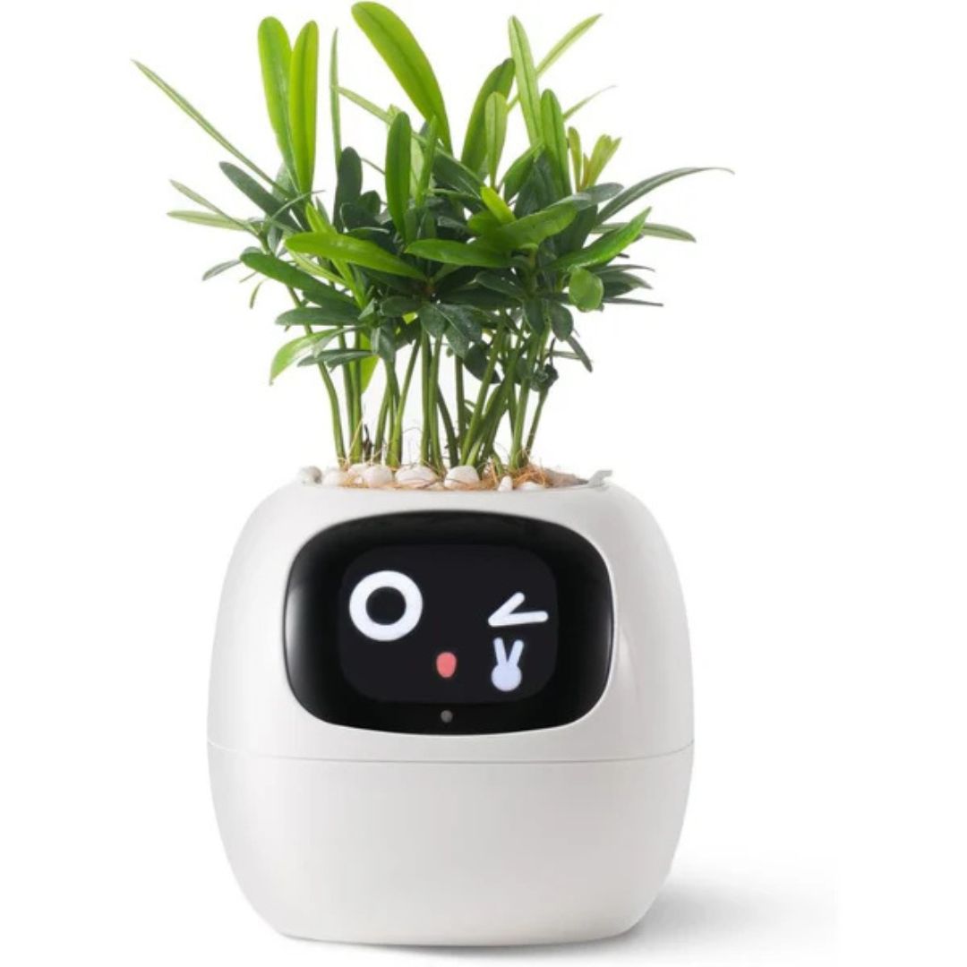 AI Smart Plant Pot | Self-Watering, Interactive with 70+ Expressions & Compatible with Smart Home Systems for Indoor & Outdoor Use