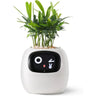 AI Smart Plant Pot | Self-Watering, Interactive with 70+ Expressions & Compatible with Smart Home Systems for Indoor & Outdoor Use