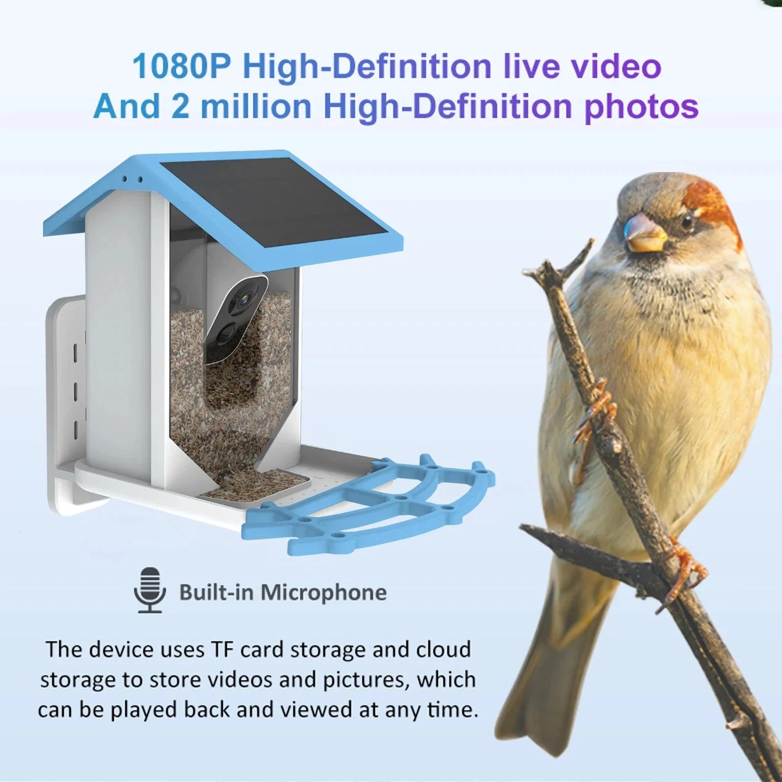 Bird Feeder Camera - #2024 Upgraded Smart Bird Feeder (10+ Years Life)