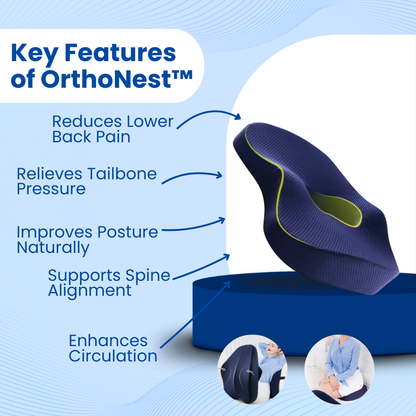 OrthoNest - Seat Cushion