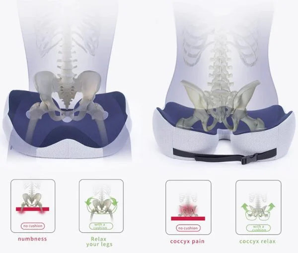 Adjustable Memory Foam Seat Cushion for Sit Bone Relief | Ergonomic Design for Office Chair and Car Use