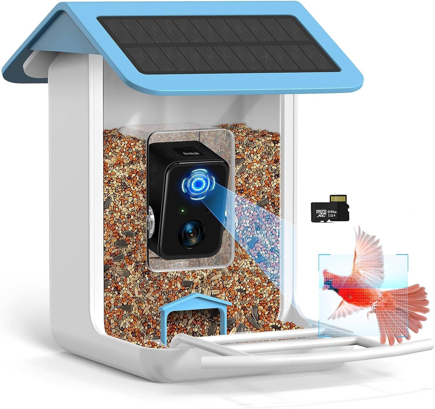 Smart Bird Feeder Camera 1