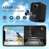 Smart Bird Feeder Camera 1