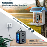 Smart Bird Feeder Camera 1