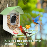 Smart Bird Feeder Camera