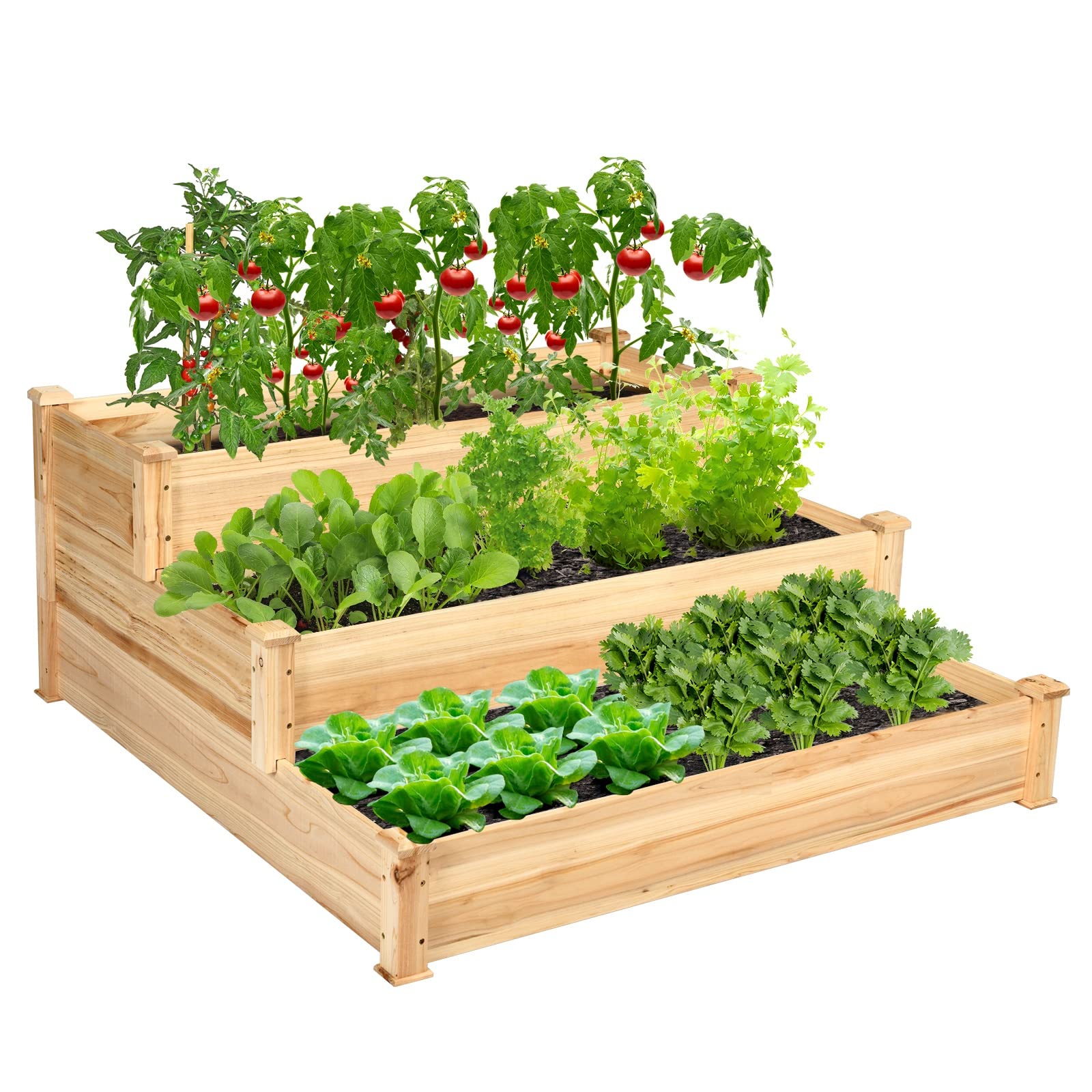 3-Tier Raised Garden Bed, 49" x 49" x 22" Fir Wood Elevated Planter Box for Growing Vegetable/Flower/Herb, Plant Display Container Rack