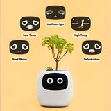 AI Smart Plant Pot | Self-Watering, Interactive with 70+ Expressions & Compatible with Smart Home Systems for Indoor & Outdoor Use