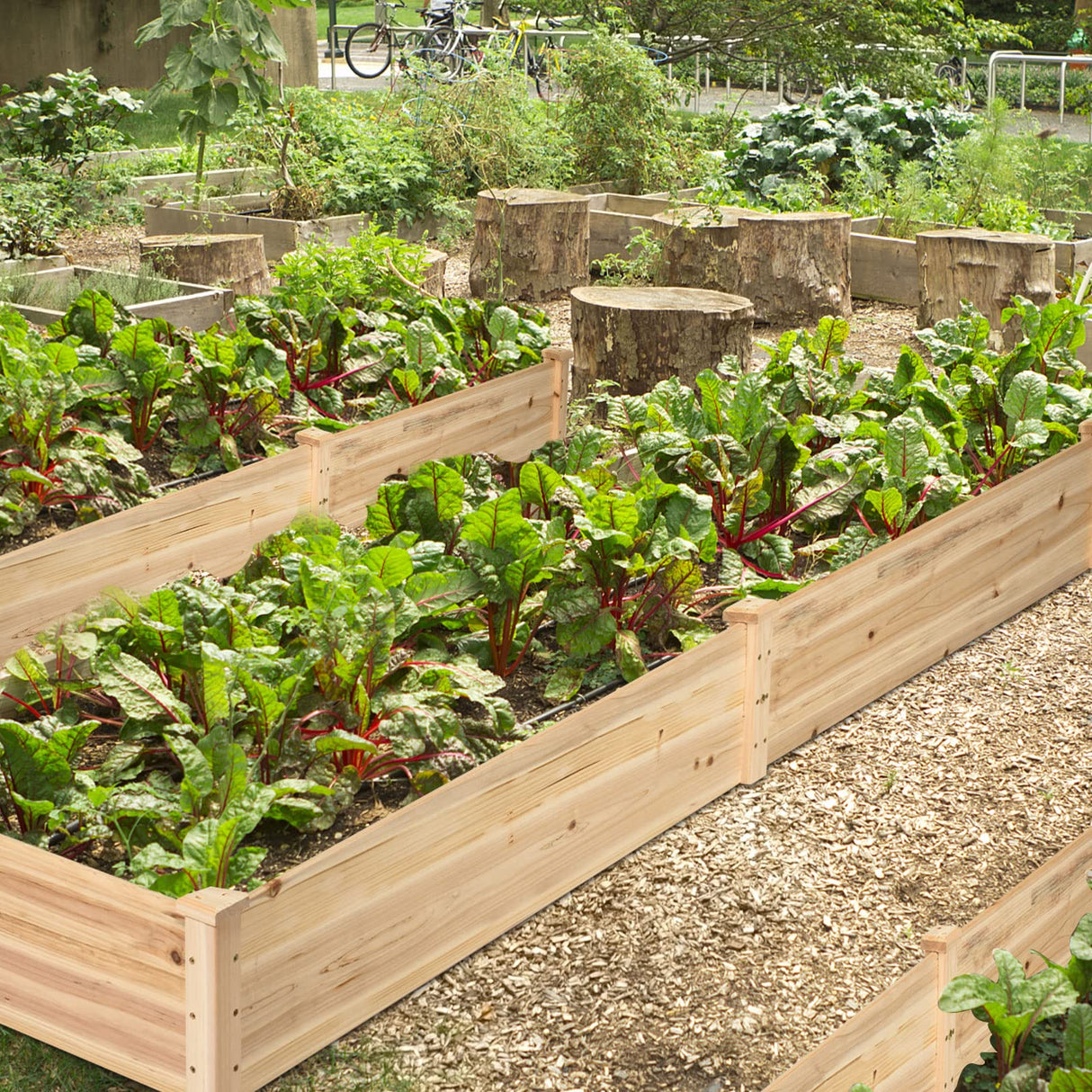 Natural Raised Garden Bed Elevated Planter Box with Open Bottom, 97”L x 25.5”W x 10”H Wooden Growing Bed for Garden Patio Yard