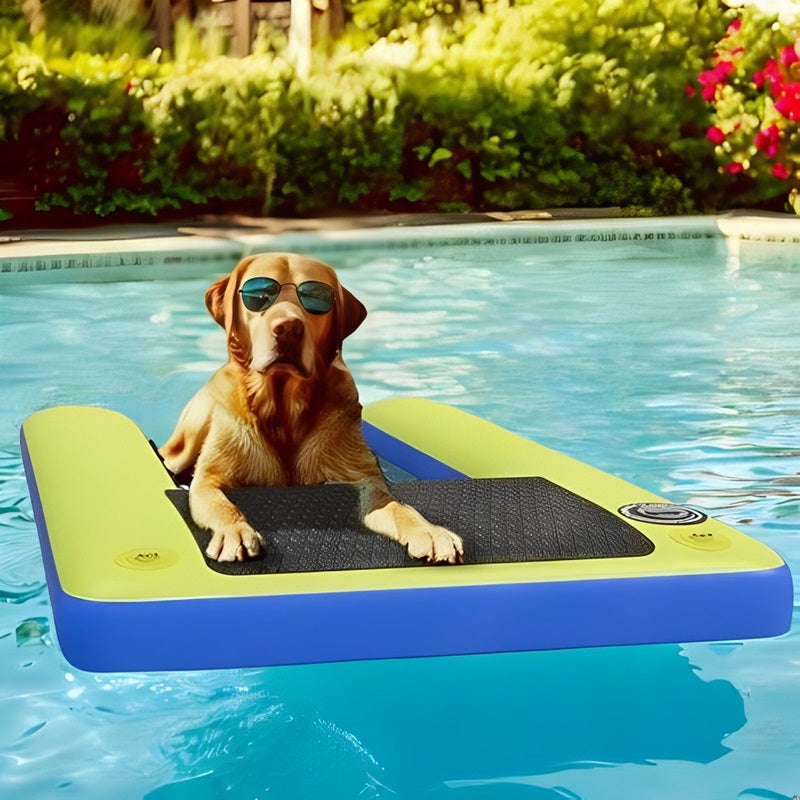 Inflatable Ramp Pool Inflatable Floating Dog Pool Ramp