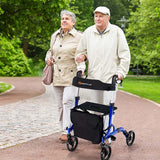 2 in 1 Folding Rollator Walker with Seat & 8" Wheels, Medical Walker Rolling Chair Mobility Walking Aid