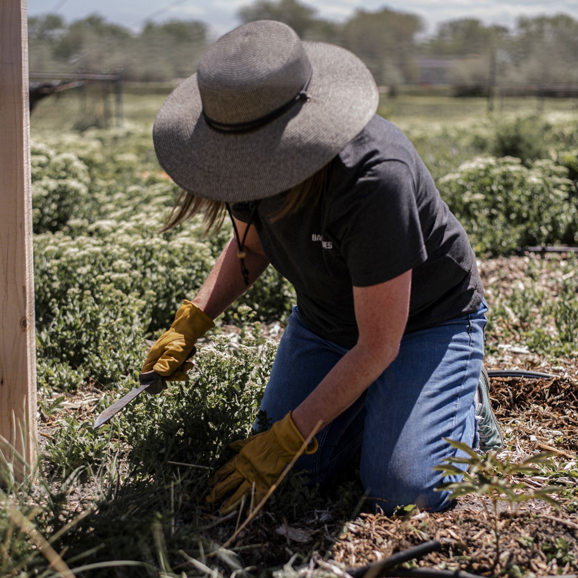 Hori Hori Garden Knife | Multi-Purpose, Rust-Resistant Blade & Sheath for Backyard, Camping & Bush-Crafting