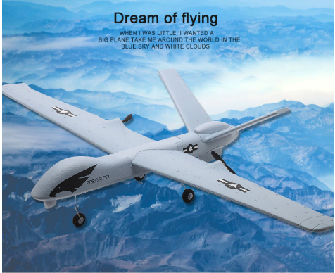 RC Plane | Remote Control Plane Predator Z51