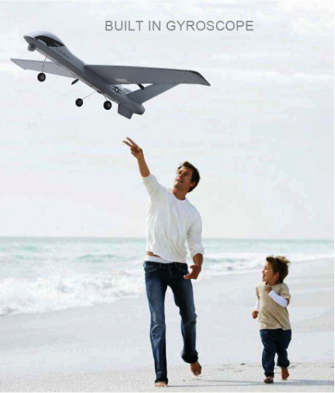 RC Plane | Remote Control Plane Predator Z51