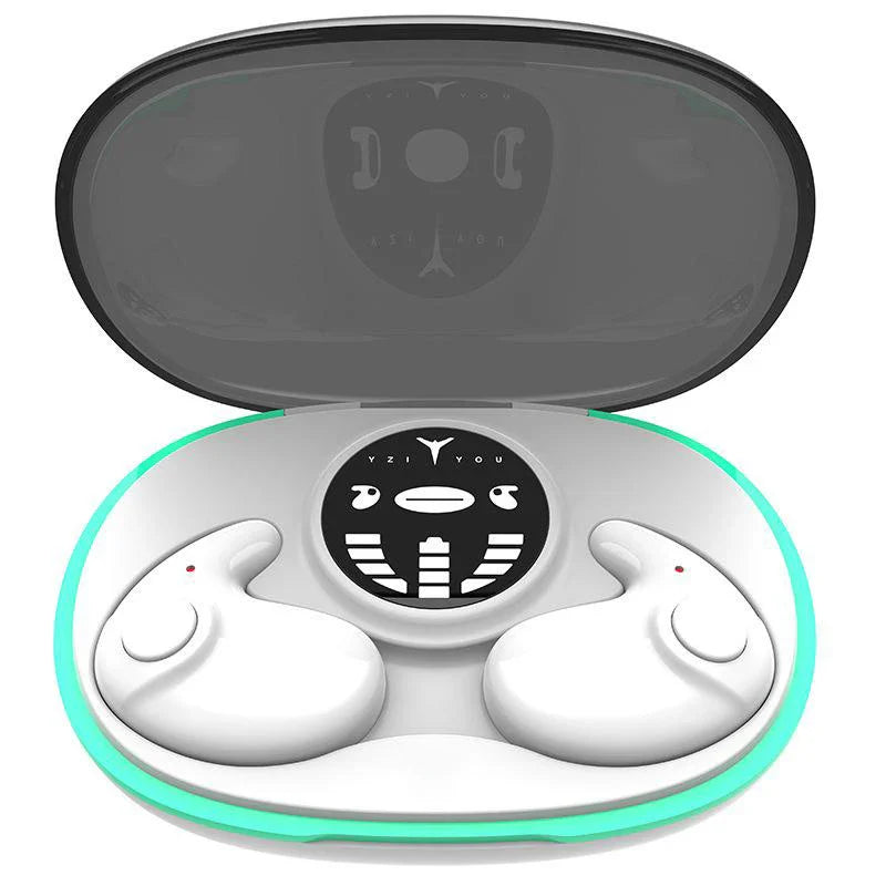 EchoBeats Earbuds